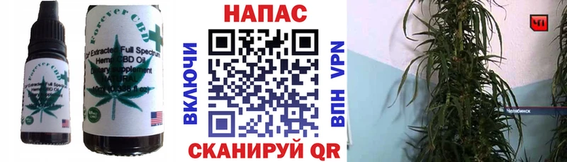 Canna-Cookies марихуана  кракен сайт  Новотитаровская 