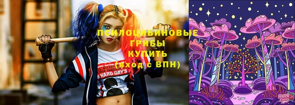 марки lsd Абаза