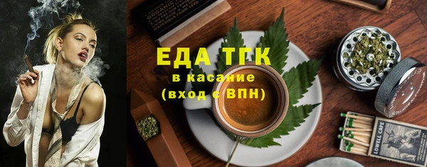 индика Дмитров