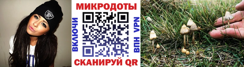 Галлюциногенные грибы ЛСД  что такое   Новотитаровская 
