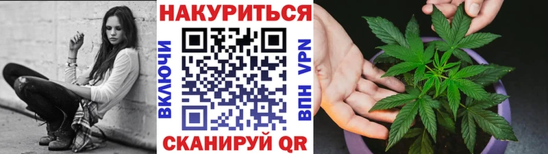 Марихуана сатива  даркнет сайт  это состав  Новотитаровская 